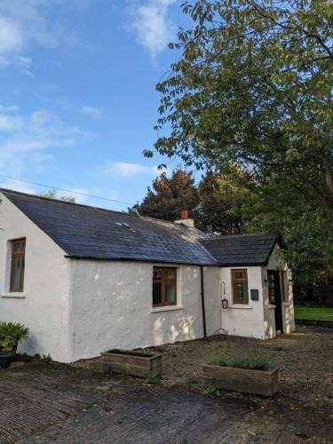 Islandmagee House | Molly's Cottage