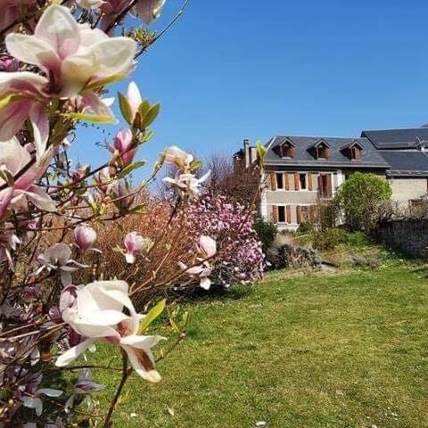 Burgalays House | 'Mon Chez Moi'
