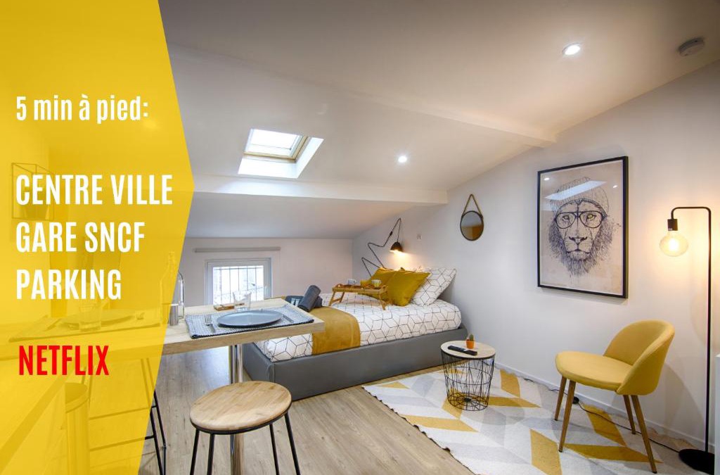Centre Ville Apartment | MON LOFT NIORTAIS - l'ANGE ET LIQUE