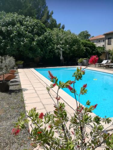 Loupia Bed & Breakfast | Mon Petit Soulié