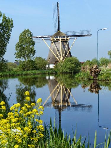 Abcoude House | Mondriaanmolen, a real Windmill close to Amsterdam