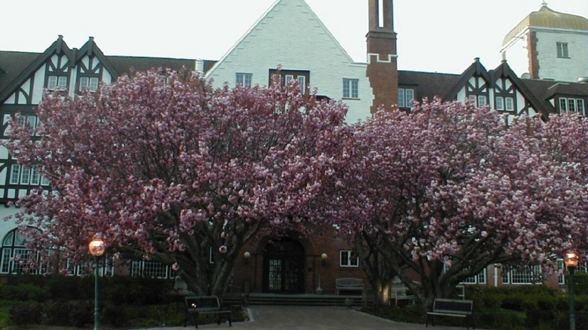 Montauk Apartment | MONTAUK MANOR-DELUXE STUDIO APARTMENT
