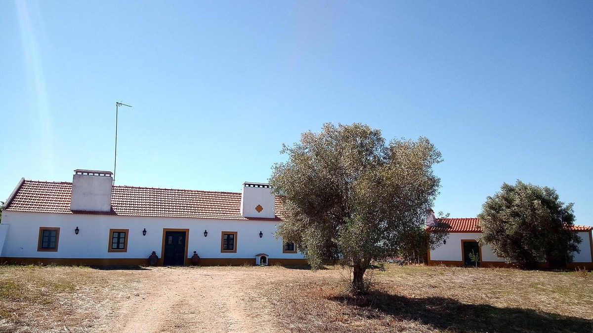Lavre House | Monte Alentejano for 8 people!Ideal for children!We accept animals!