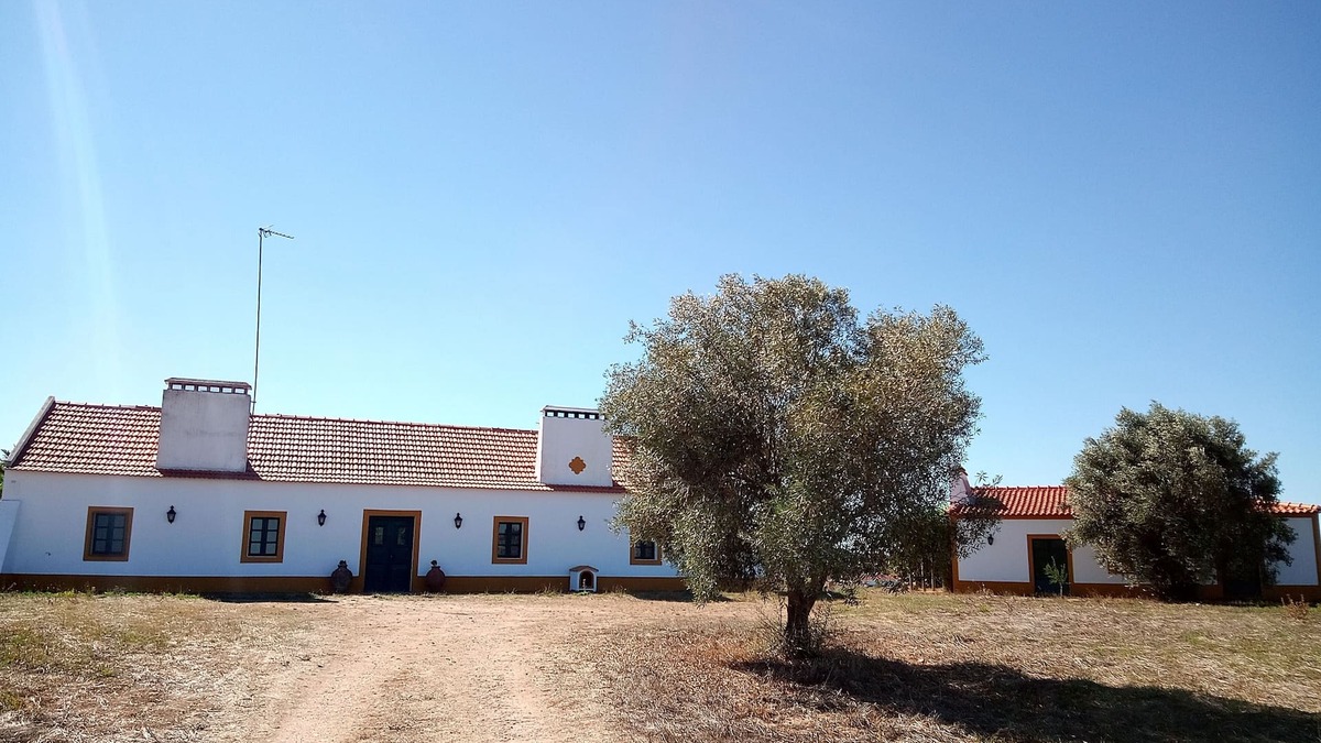 Lavre House | Monte Alentejano for 4 people!Ideal for children!We accept animals!