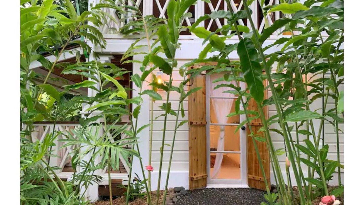 Utuado Other | Monte Sagrado Reserve - wellness+Tanama River+farm
