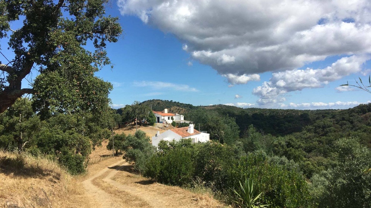 Sao Francisco da Serra House | Monte São Francisco - cosy&modern house in Melides area close to the ocean.