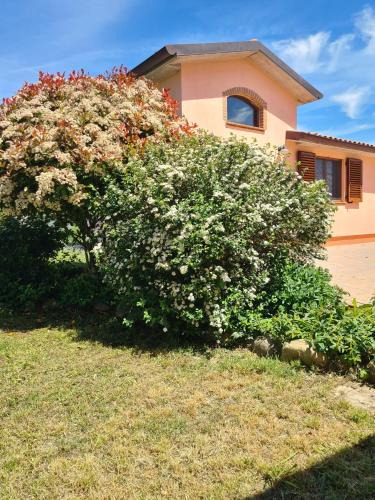 Acquaviva House | Montepulciano - La Casetta del Pian delle Noci