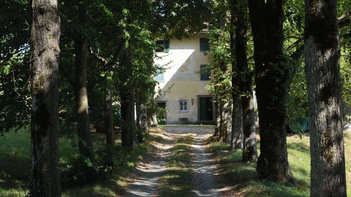 Sassello Villa | Montesoro, hystoric country villa with swimming pool, sorrounded by nature