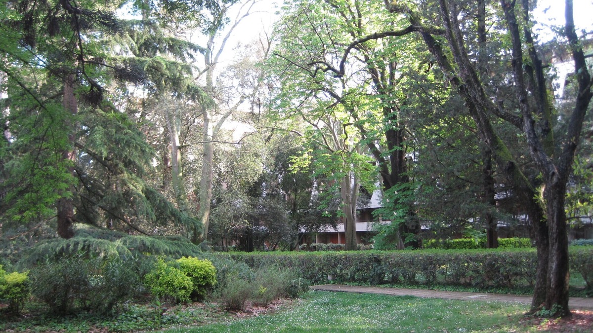 Les Beaux-Arts Apartment | Montpellier quiet with large pool.