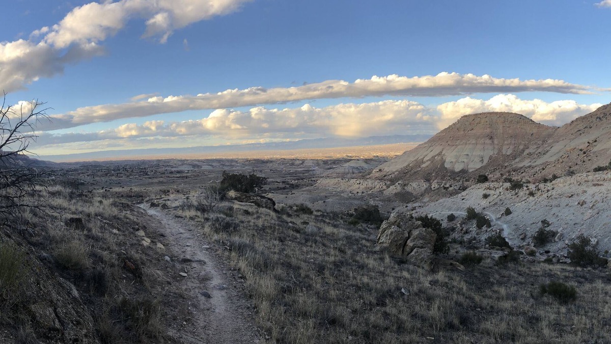 Grand Junction House | Monument views and room to play. Pets welcome.