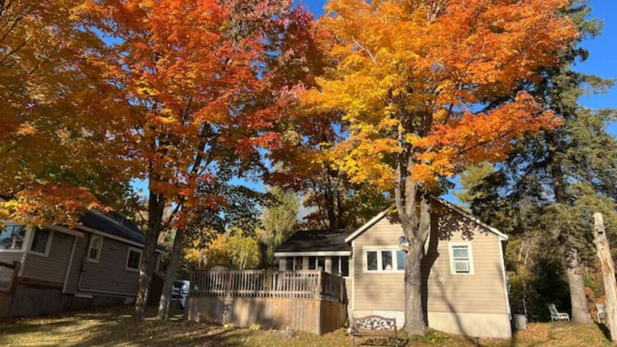 Bala Cottage | Moon River #5 Summary