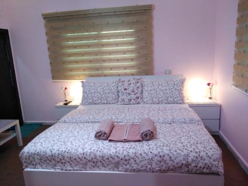 Jerash Apartment | moon valley site jerash