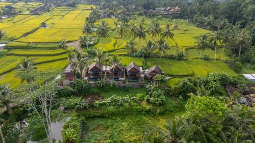 Sebatu Bed & Breakfast | Moonterra Villa Sebatu