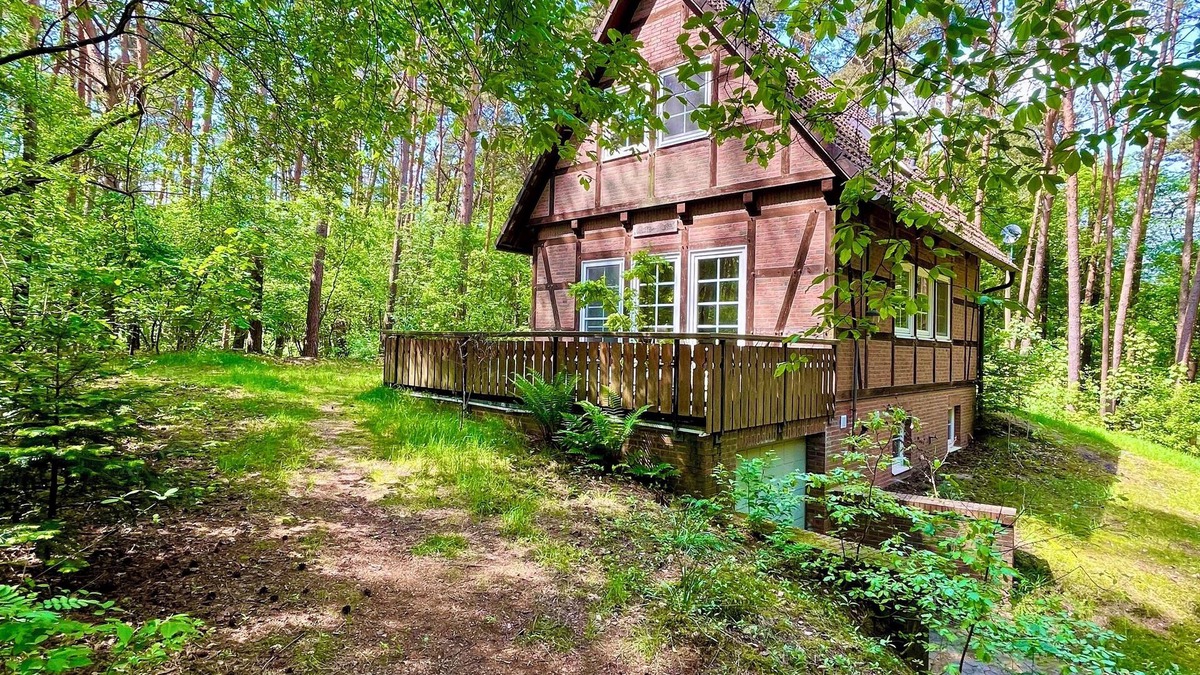 Kirchlinteln House | Moosbart Forest House: Forest bathing for young and old
