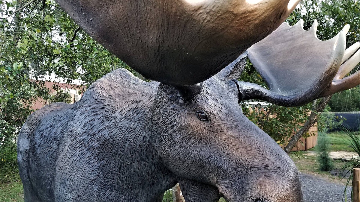 Dade City House | ★Moose Haven Cabin★ Garden & Hiking Trail ★