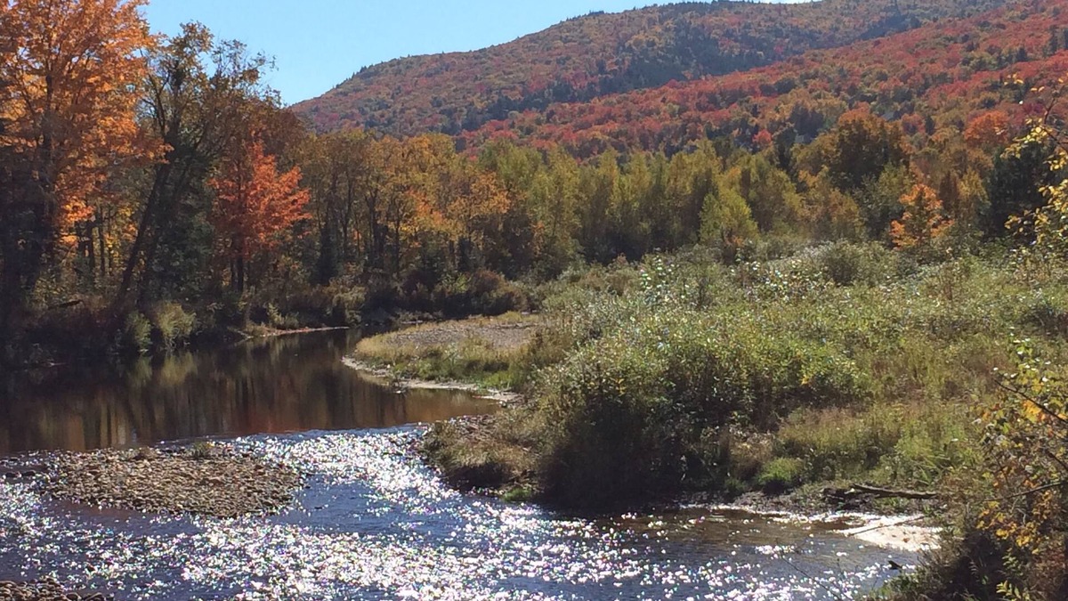 Bretton Woods Cabin | Moose Lodge and Cabins by Bretton Woods Vacations