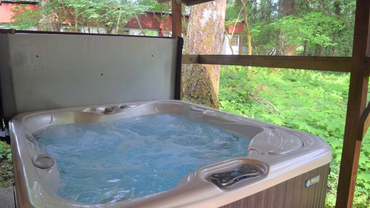 Packwood Cabin | Moose Manor