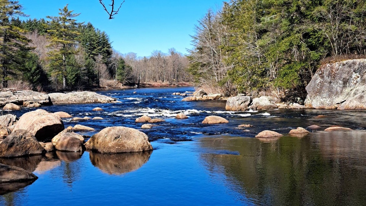 Town of Lyonsdale Cottage | Moose River ADK Get-Away