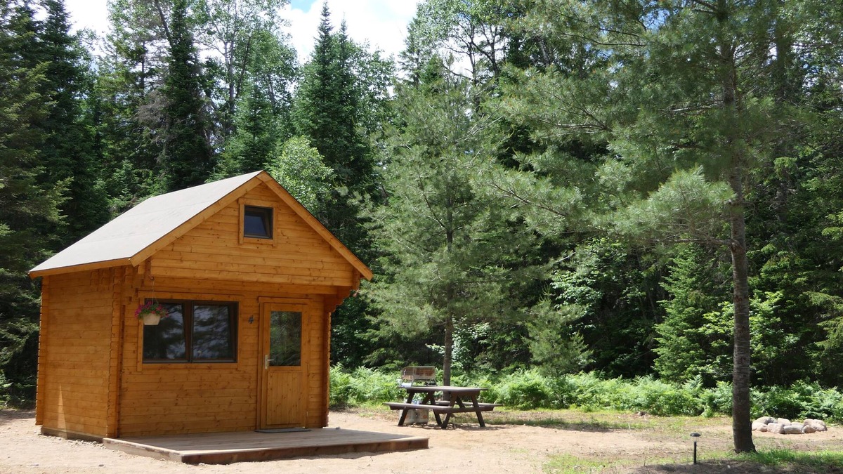 Hastings Highlands Cabin | Moose Run, a PRIVATE Pine Cabin in the Woods near Algonquin Park, Ontario.