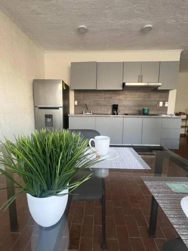 La Piedad Apartment | Morelos 67 Apartment