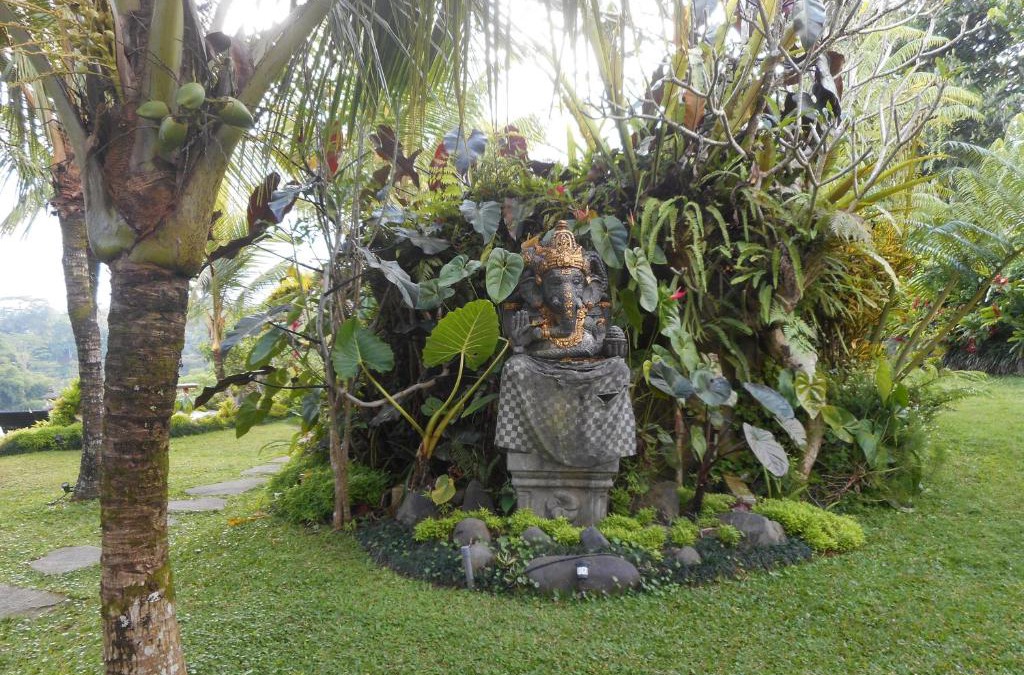 Taro Villa | Moringga Holiday Ubud