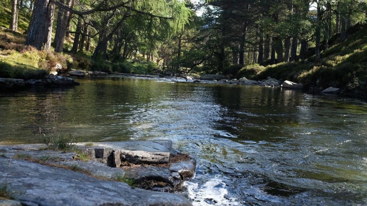 Braemar Cottage | Morrone Cottage - Beautiful mountain cottage, large garden and wonderful views.