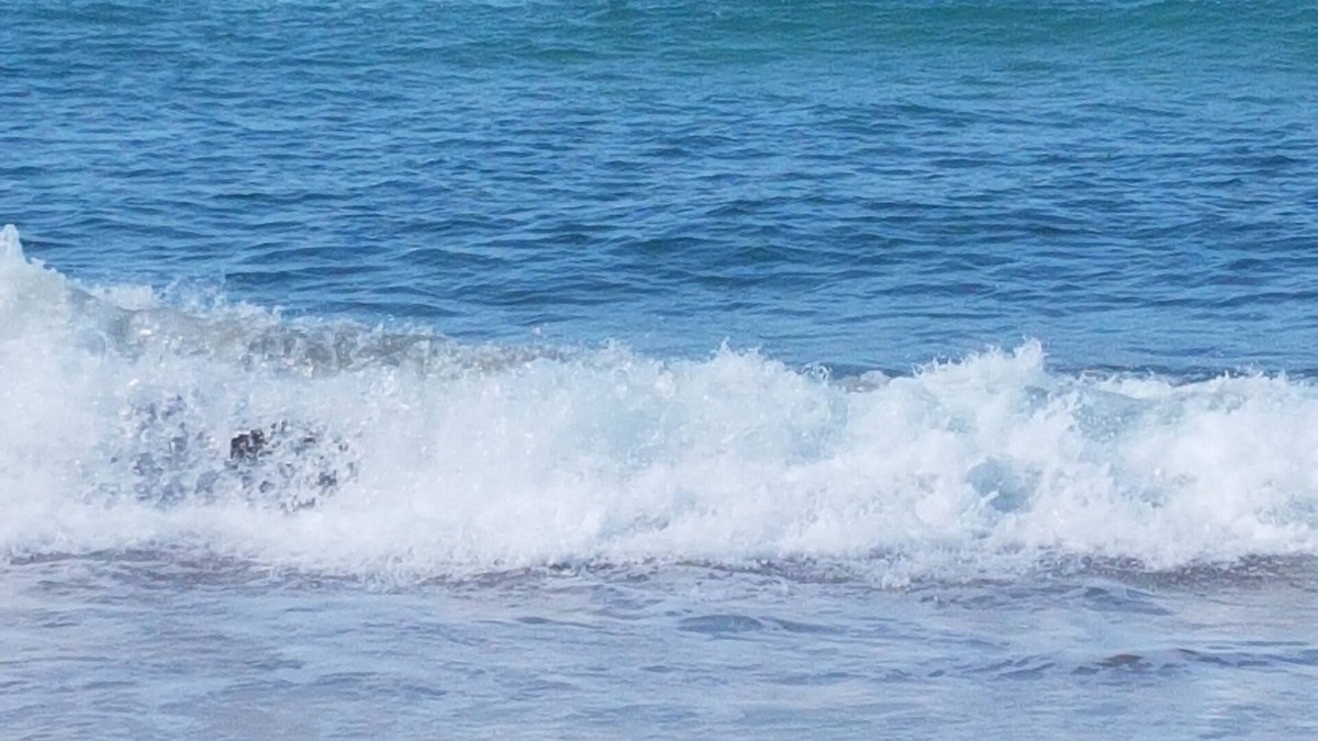 Morrumbene House | Morrumbene Beach Resort