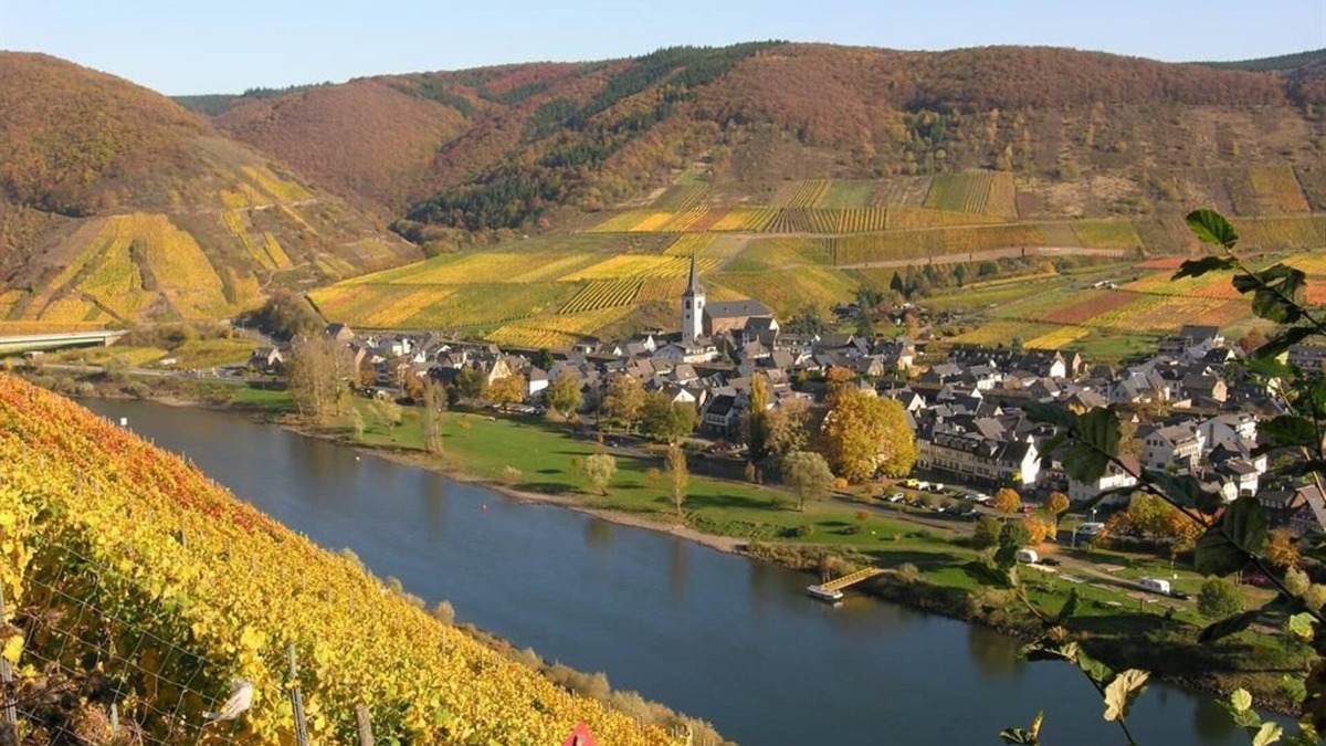 Bruttig House | Mosel-Winzerhaus - Moselwinzerhaus