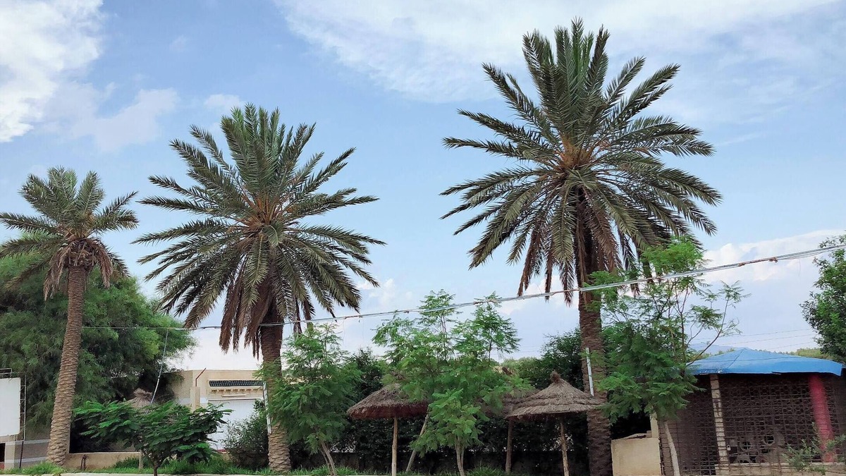 Kairouan Governate Hotel | Motel El Goulla