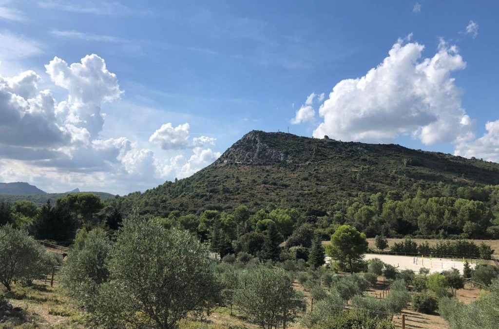 Galargues House | Mougere des oliviers