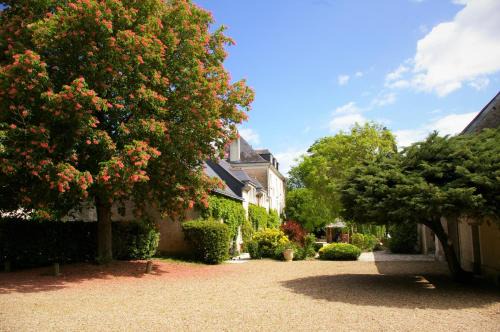 Chancay Bed & Breakfast | Moulin De Bacchus - Châteaux de la Loire