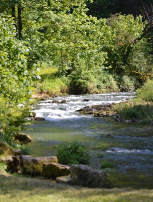Cusance Bed & Breakfast | Moulin de la Cuse - Chambre La Cuse