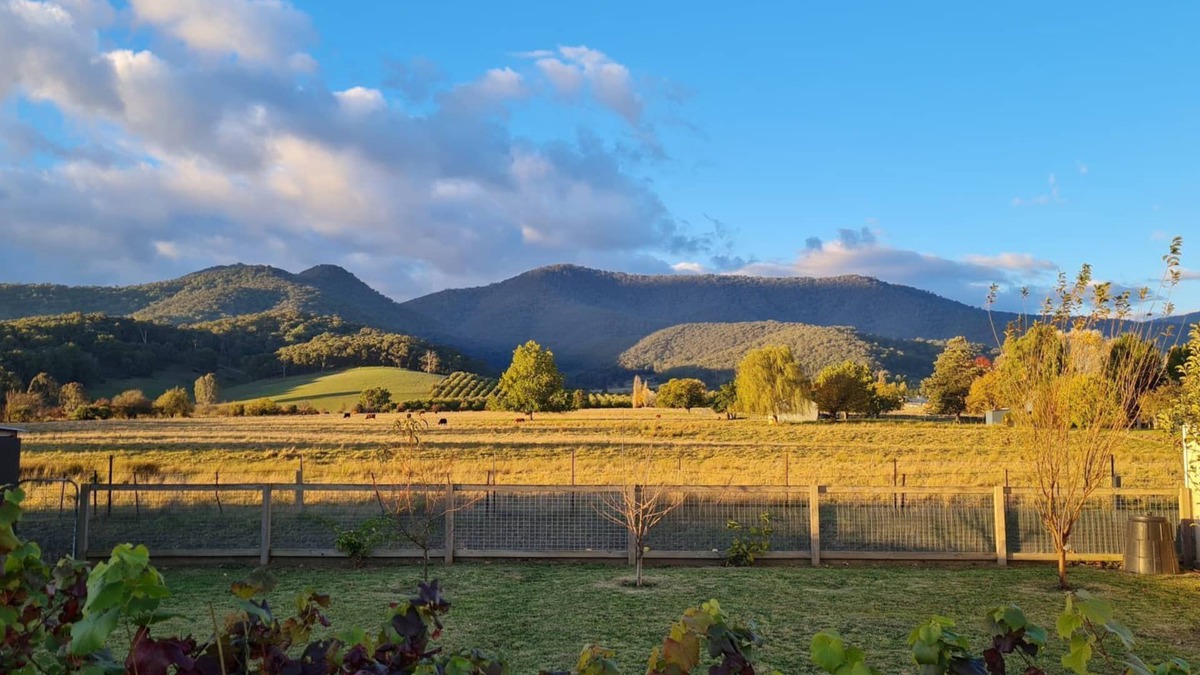 Porepunkah House | Mount Porepunkah Views