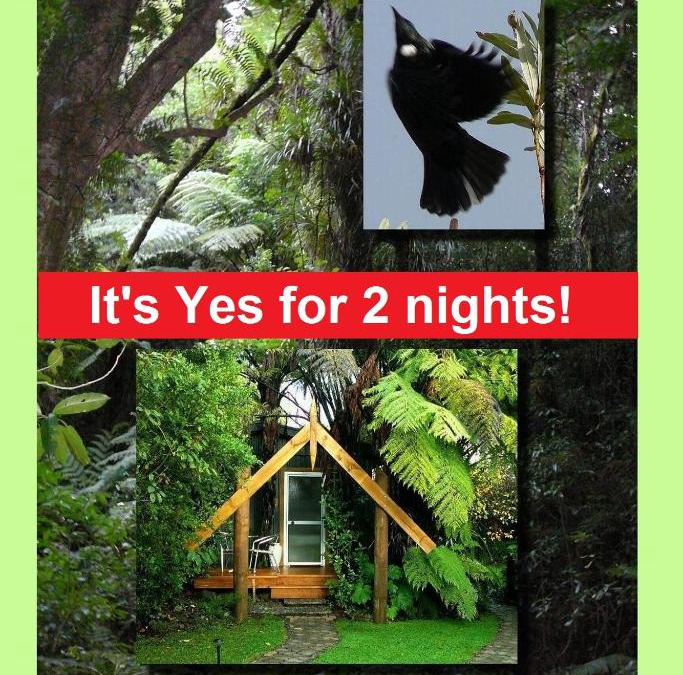 Ohauiti Bed & Breakfast | Mount Tutu Eco-Sanctuary