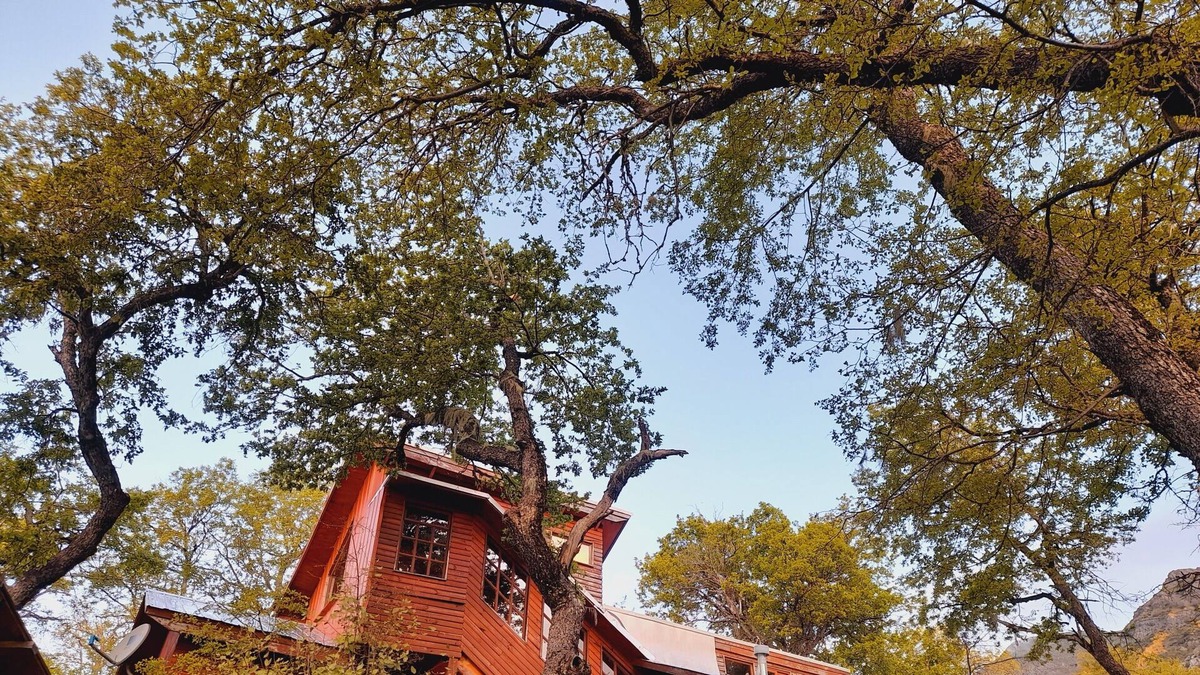 Pinto Cabin | Mountain cabin with hot tub, 8 min. hot springs and ski center