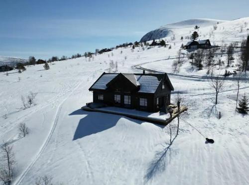 Andalsnes House | Mountain Cabin At Nysetra Near Romsdalseggen