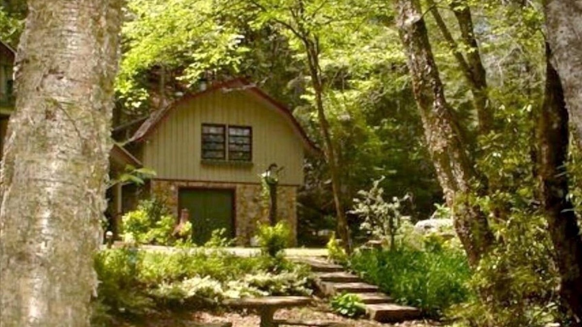 Robbinsville Cabin | -Mountain Cabin at the Waters Edge with WIFI