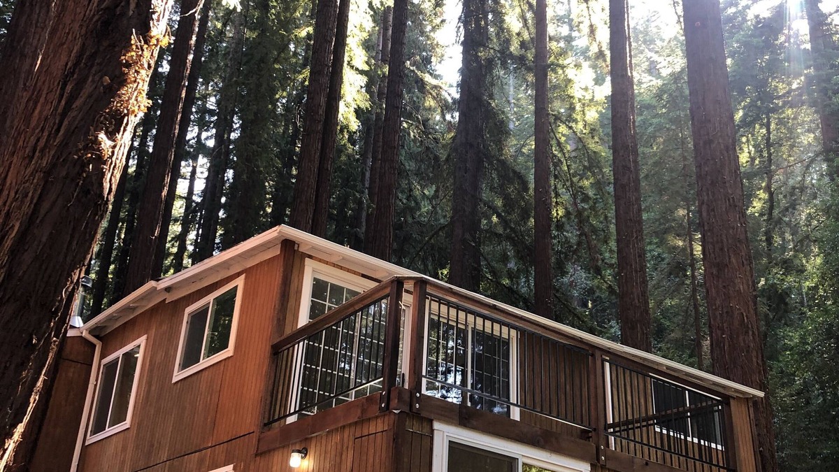 Boulder Creek Cabin | Mountain cabin w/king suite in the Redwoods of the Santa Cruz Mountains