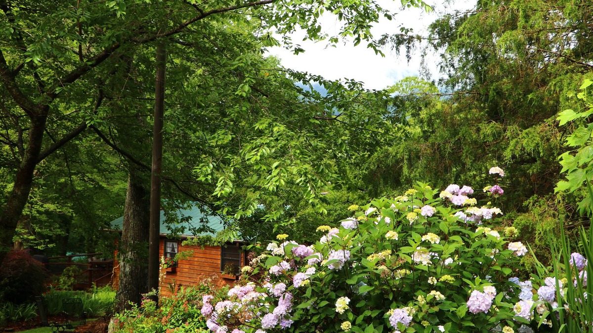 Candler Cabin | Mountain Getaway For Couples! 17 miles to Asheville, Pet Friendly, Hot Tub