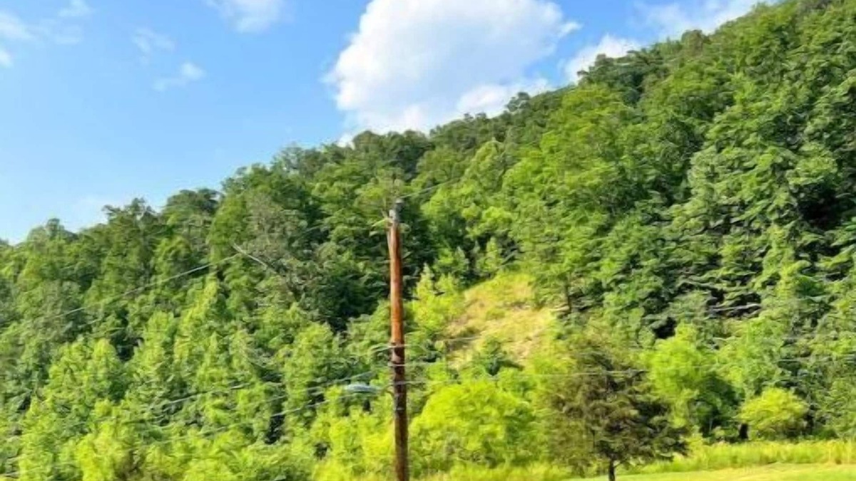 Chapmanville Apartment | Mountain Heaven, beautiful mountains. Bearwallow trail is Chapmanville connector