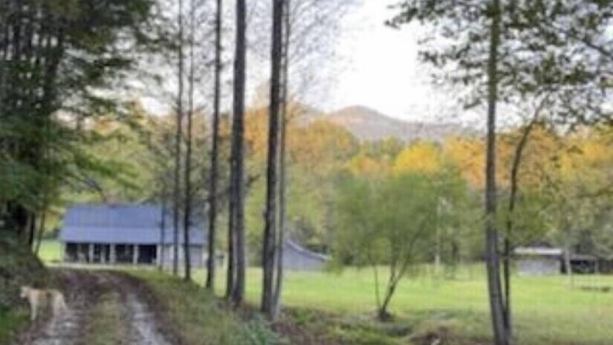 Pickens Other | Mountain homestead - vast property with winding creek sleeps 7