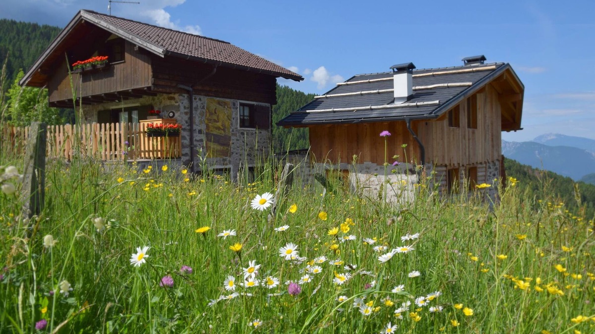 Fierozzo Cabin | mountain house & pet friendly
