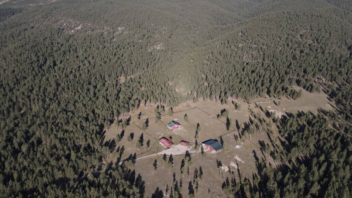 Golden Valley County Cabin | Mountain log cabin, horse barn/fenced paddocks.Hunting, hiking,horseback riding