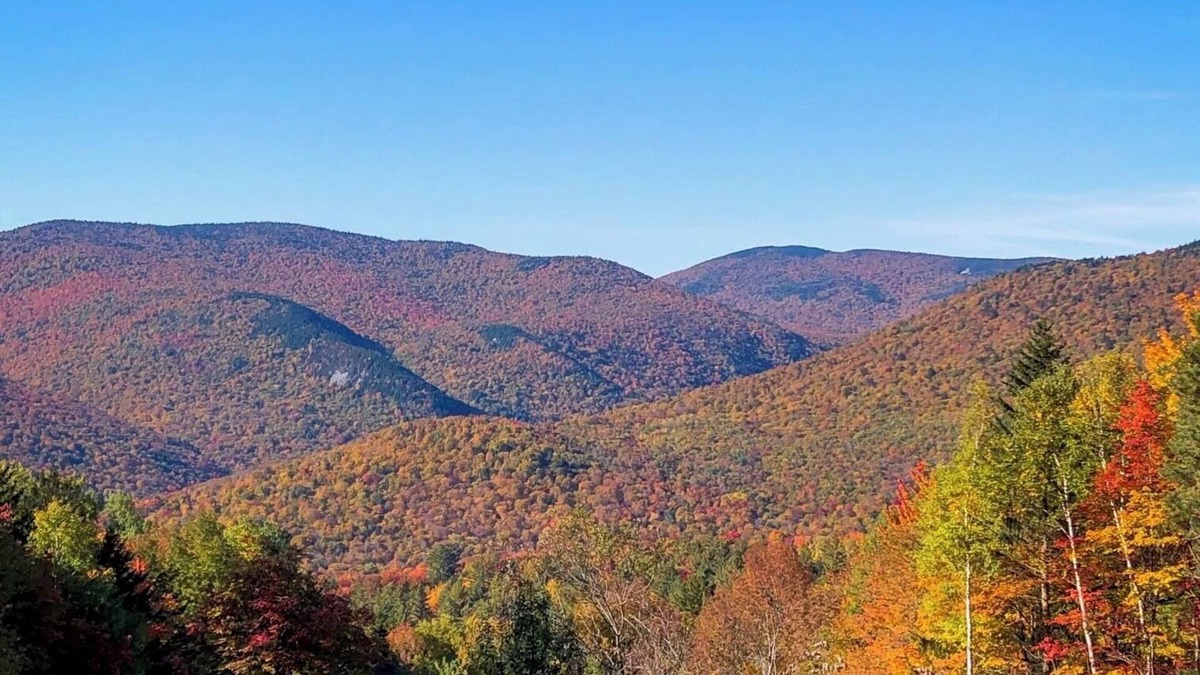 Hancock House | Mountain Log Home w/Amazing View! Foliage Awaiting