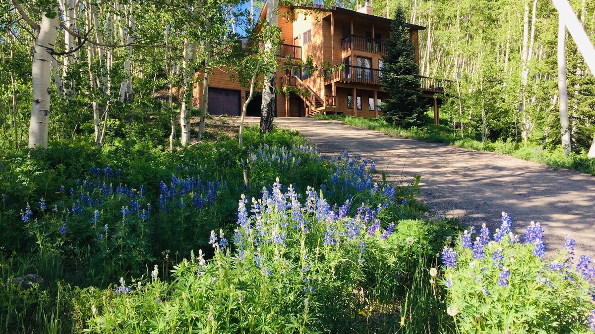 Crested Butte Apartment | Mountain Modern- NEW- Wildflowers, backs up to Snodgrass Trail & VIEWS of Mt CB