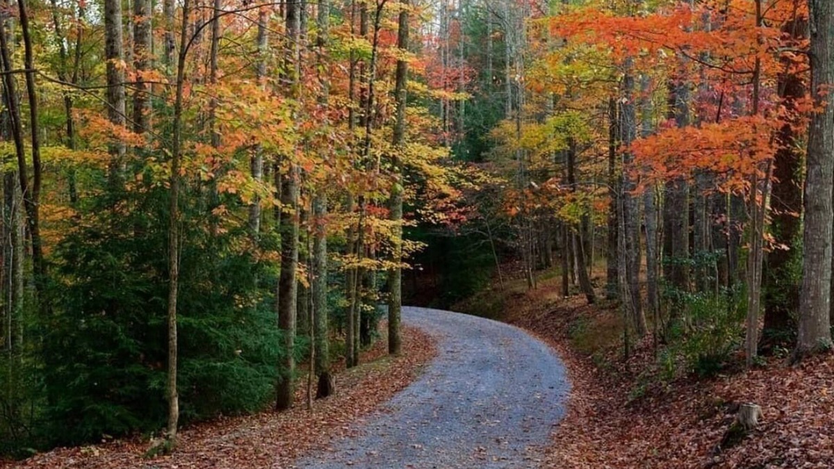 Lost River House | Mountain retreat! MODERN HOUSE 2 hours from DC
