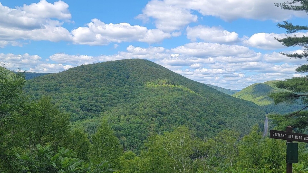 Hyner Cabin | Mountain Retreat with access to ATV Trails!