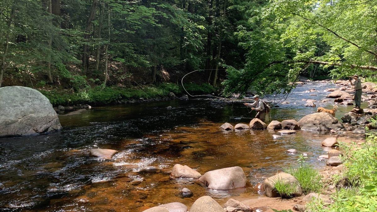 Glenfield Cabin | Mountain River Log Cabin on Otter Creek Scenic Natural Soaking Pool