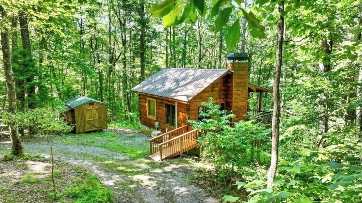 Blue Ridge Cabin | Mountain Top cabin when you need a break from EVERYTHING! Last min ok. No min nt