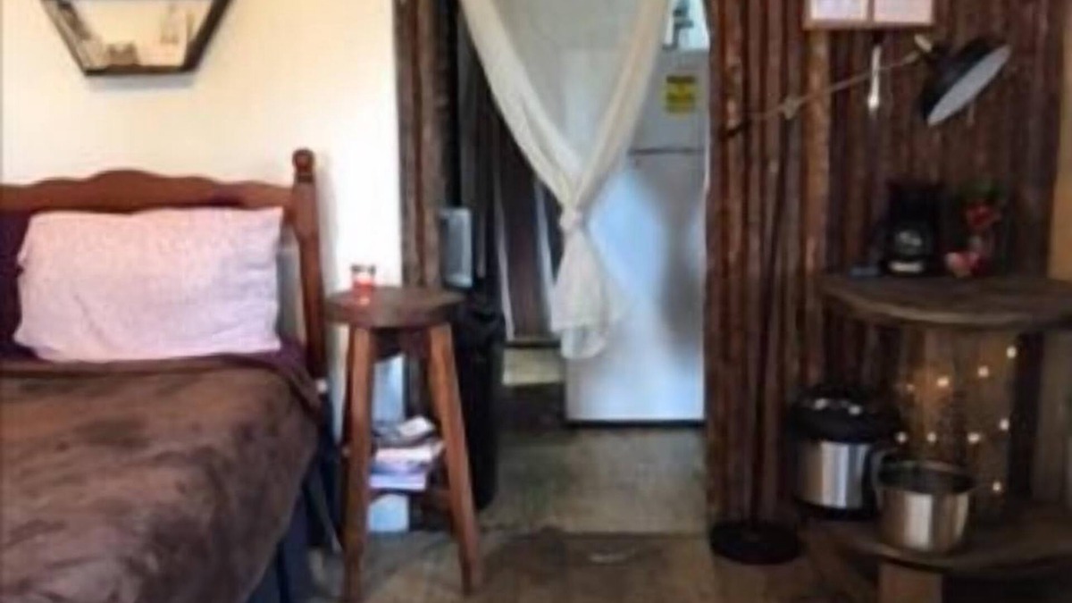Billy White Apartment | Mountain View; Decks; Swim; Exotic Wildlife; Coconuts, Limes, Hiking; Pets OK